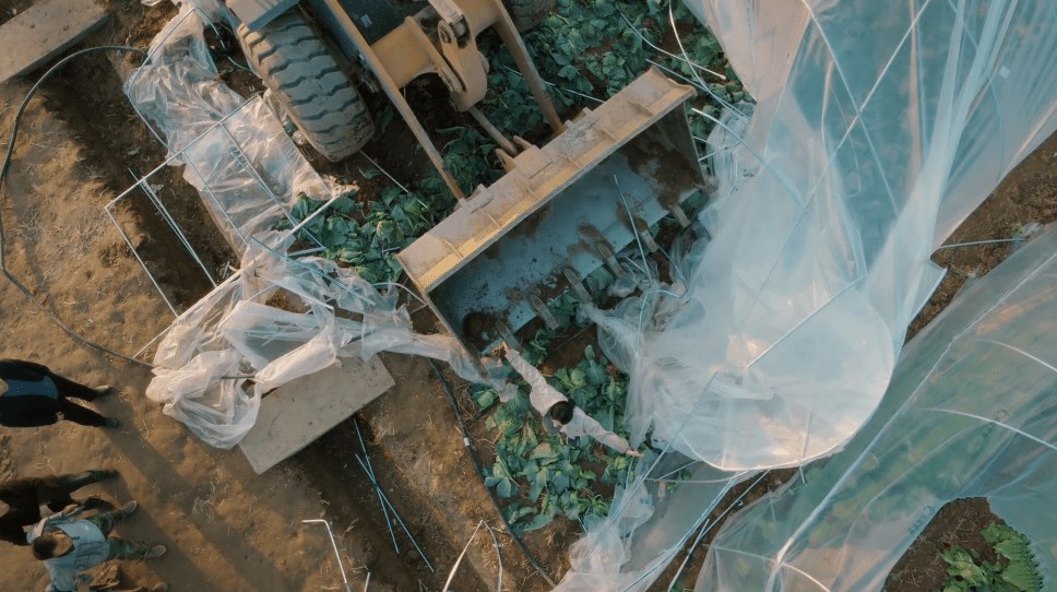 《幸福到万家》中没发票没征地补偿，该如何维权？