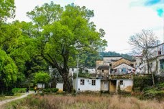 农村房屋征收以房换房比例是1:1？你吃亏了