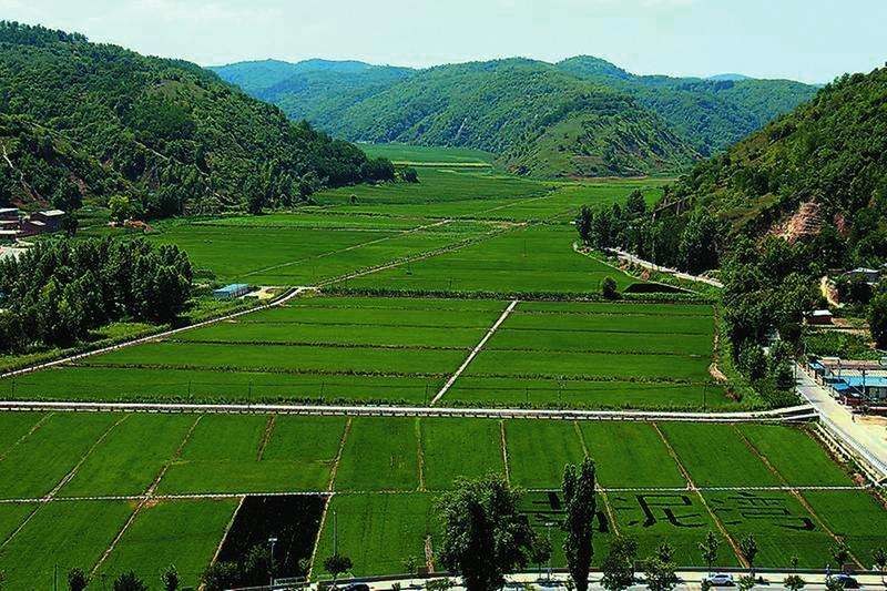 《中华人民共和国土地管理法实施条例（修订草案）》
