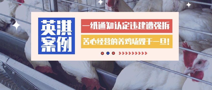 一纸通知认定违建遭强拆，苦心经营的养鸡场毁于一旦