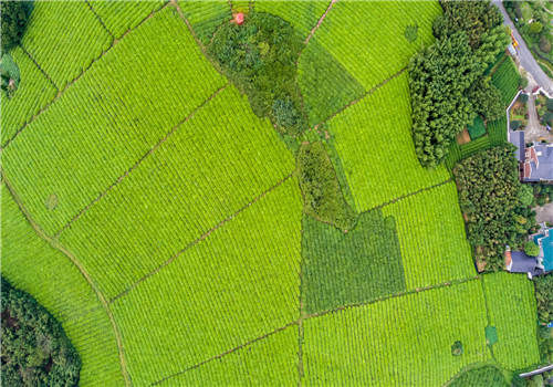 福建省土地使用权转让