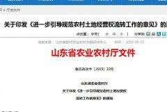 2019山东省土地流转新政