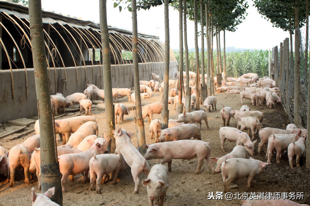 最高法院案例:未办理用地手续的养殖场是否属于违法建筑?