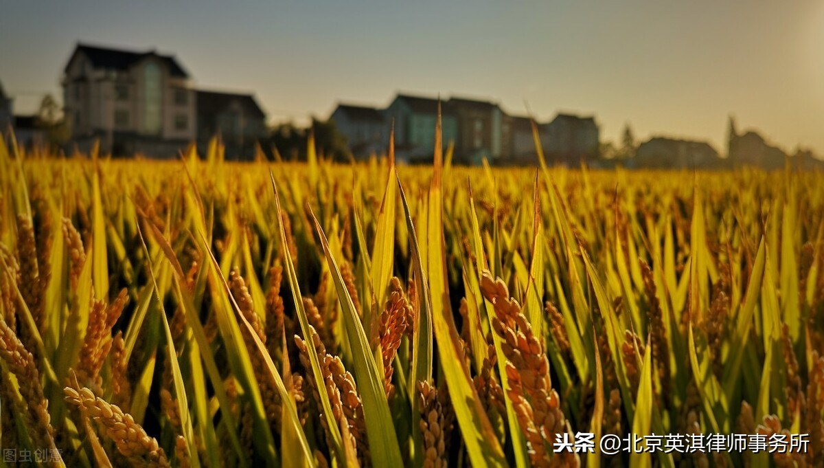 最高法耕地保护典型行政案例裁判要点汇总