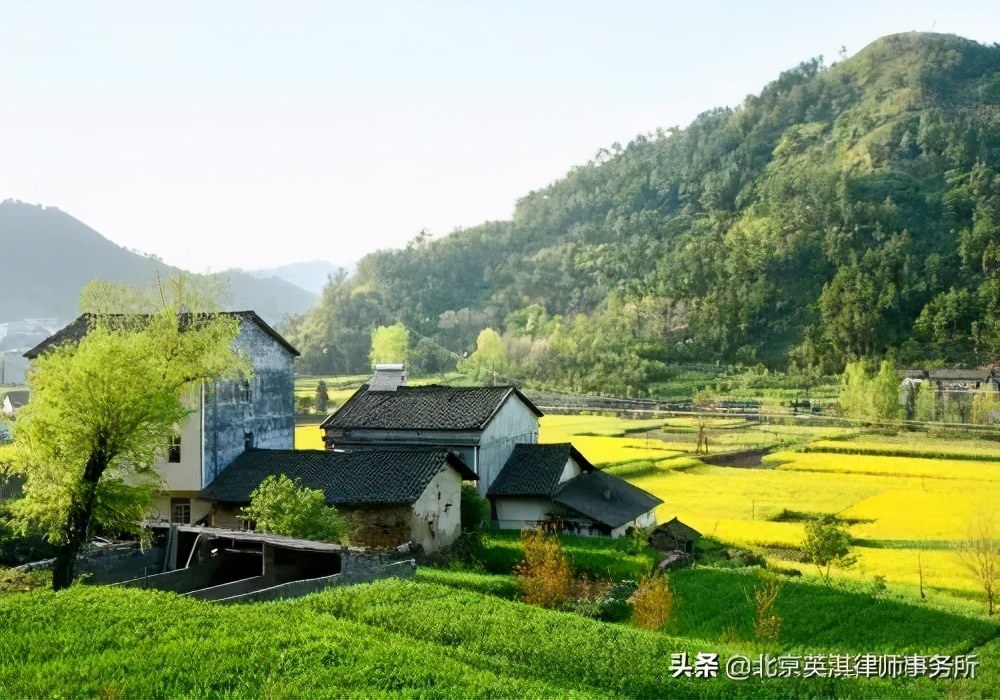 自然资源部：一户多宅、超面积、非集体成员取得宅基地等确权问题