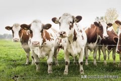 养殖场因环保问题被关停，是否应当获得补偿呢？